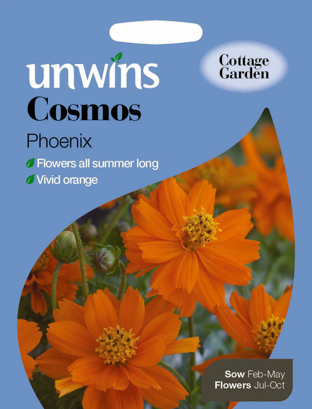 Cosmos Phoenix