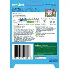 Cosmos Tip Top Picotee - Image 2