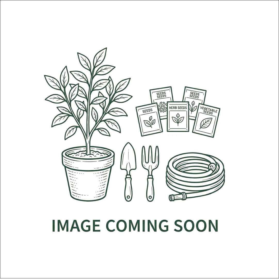 COSY HOLLOW SML SITTING MOOSE