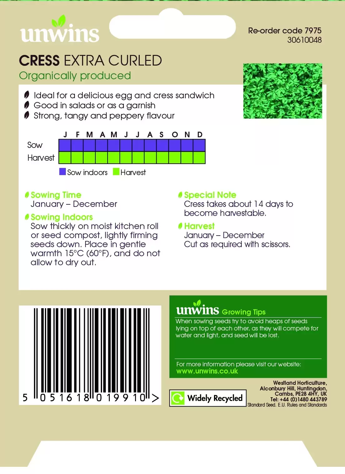 Cress Extra Curled Org - Image 2