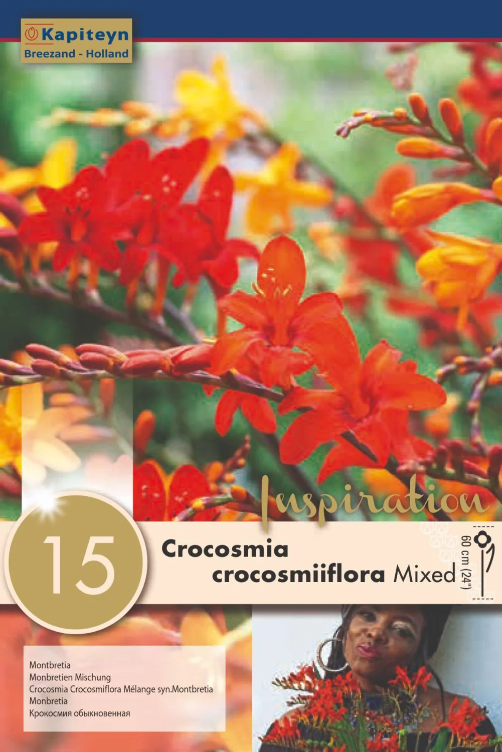 CROCOSMIA FLORAMIXED 15
