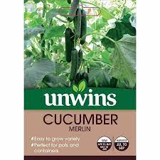 Cucumber Merlin