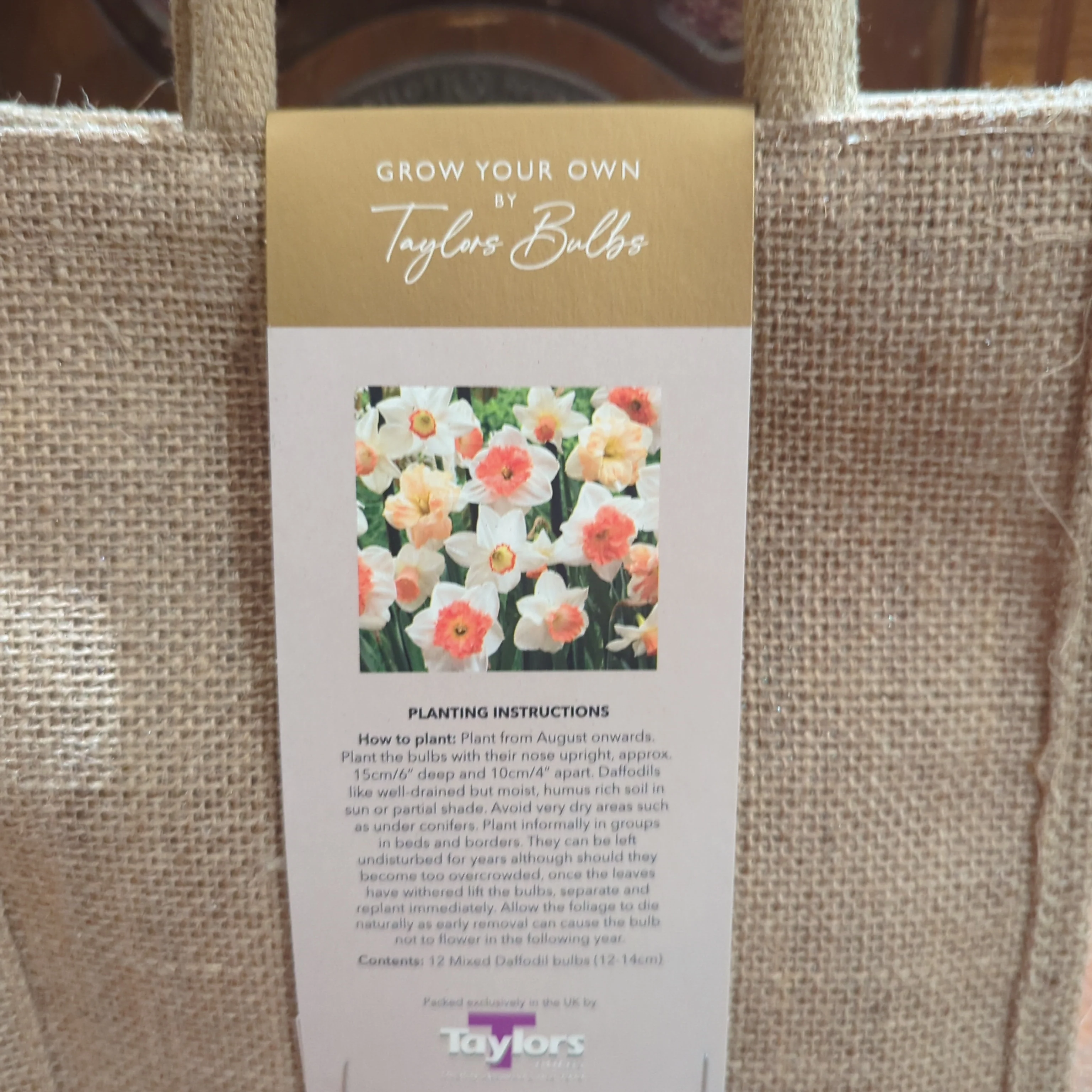DAFFODIL JUTE GIFT BAG 12 - Image 2