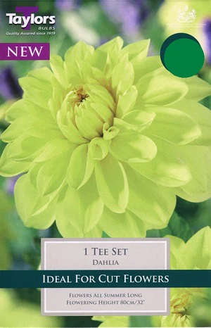 DAHLIA TEE SET