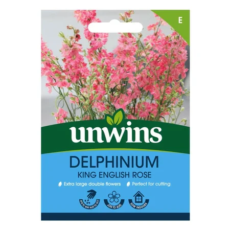 Delphinium King Scarlet (English Rose)