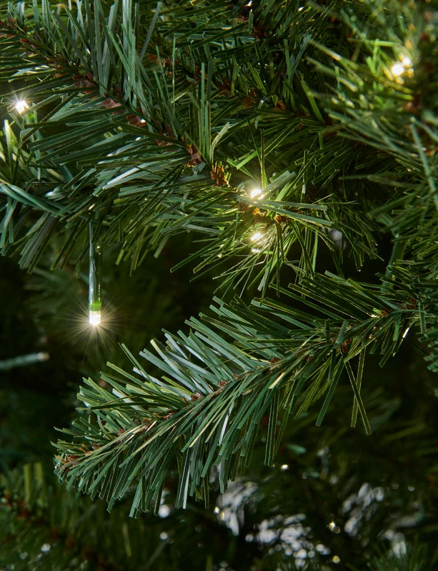 Eaton Fir- 12ft tree with 6500 Warm White LED 3mm Compact Bulbs - Image 3