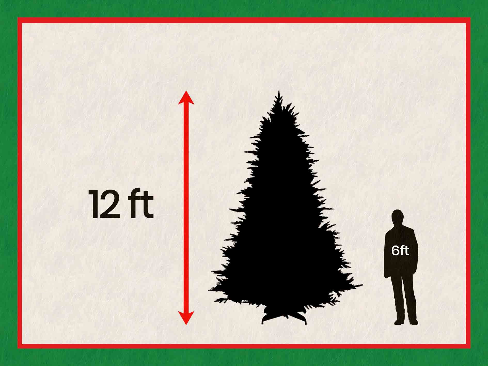 Eaton Fir- 12ft tree with 6500 Warm White LED 3mm Compact Bulbs - Image 5
