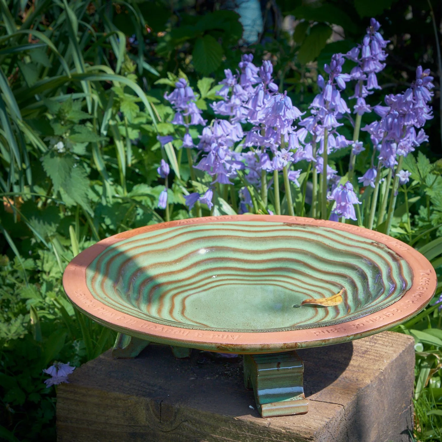 Echoes bird bath