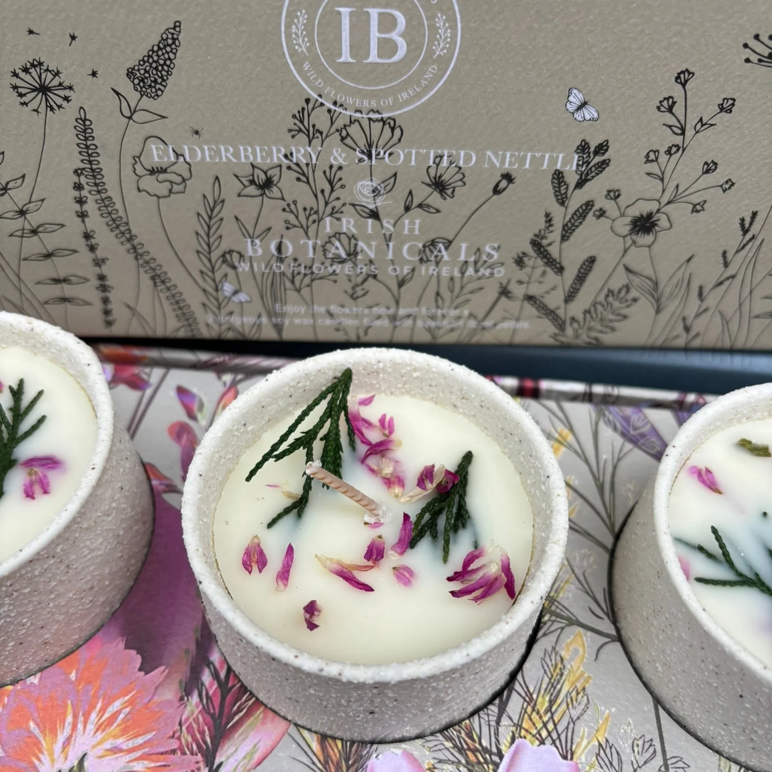 Elderberry and Spotted Nettle Trio Set - Image 2