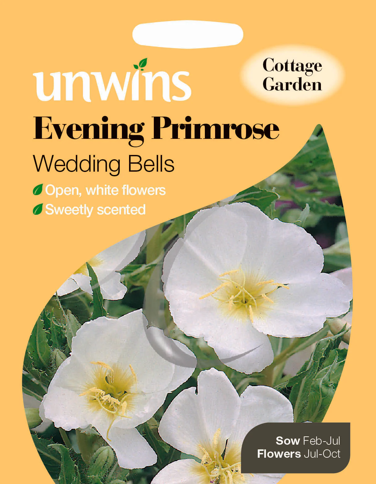 Evening Primrose Wedding Bells