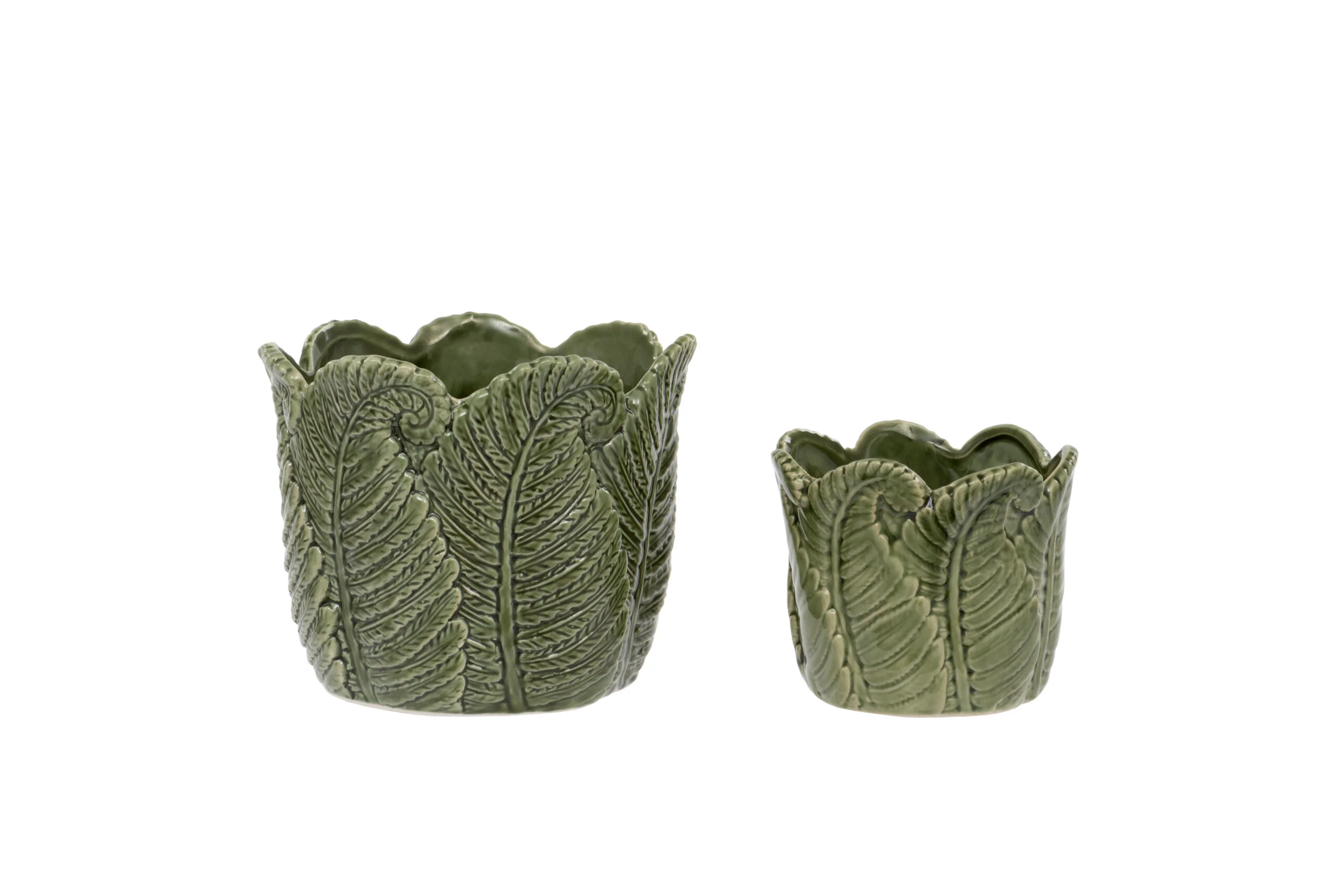 Evergreen Pot L