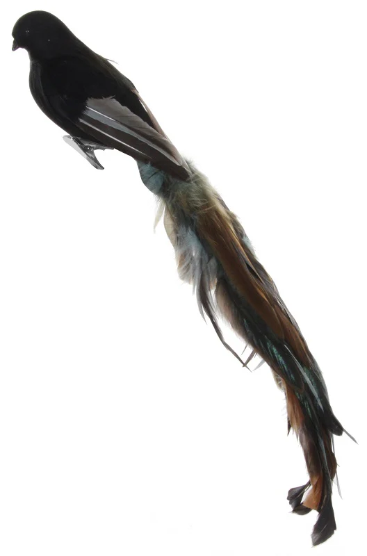 Feather bird black-green 45cm