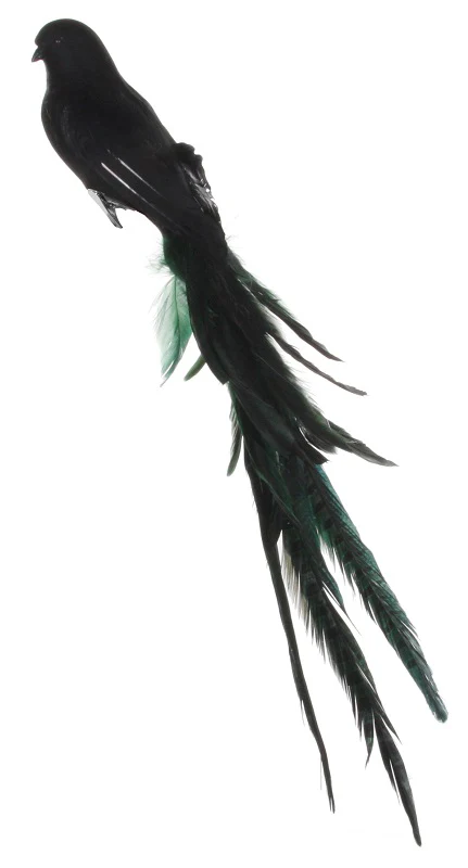 Feather bird black-green 55cm