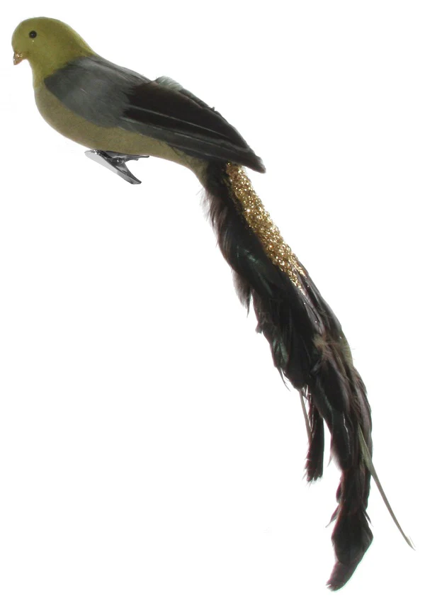 Feather bird glitter tail green