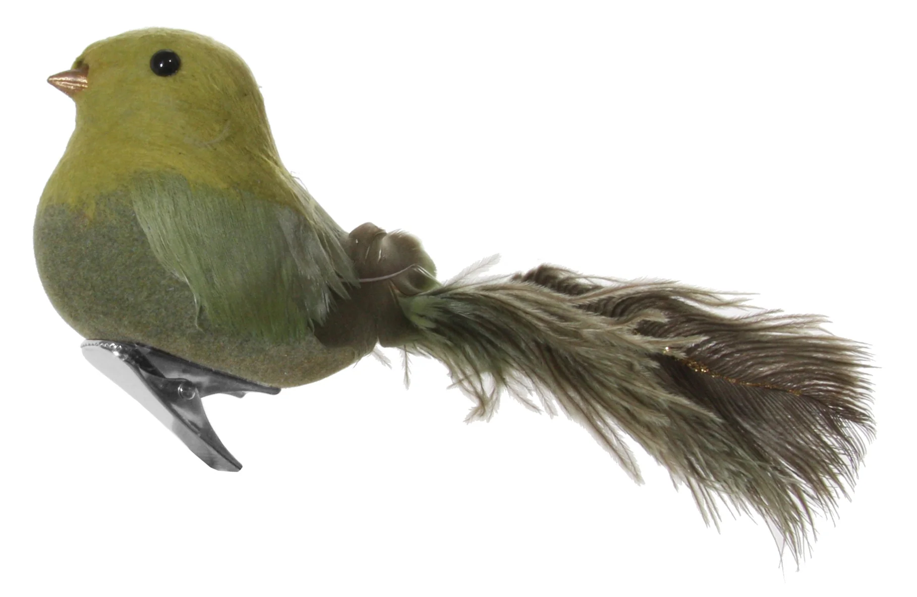 Feather bird w with ostrich tail green