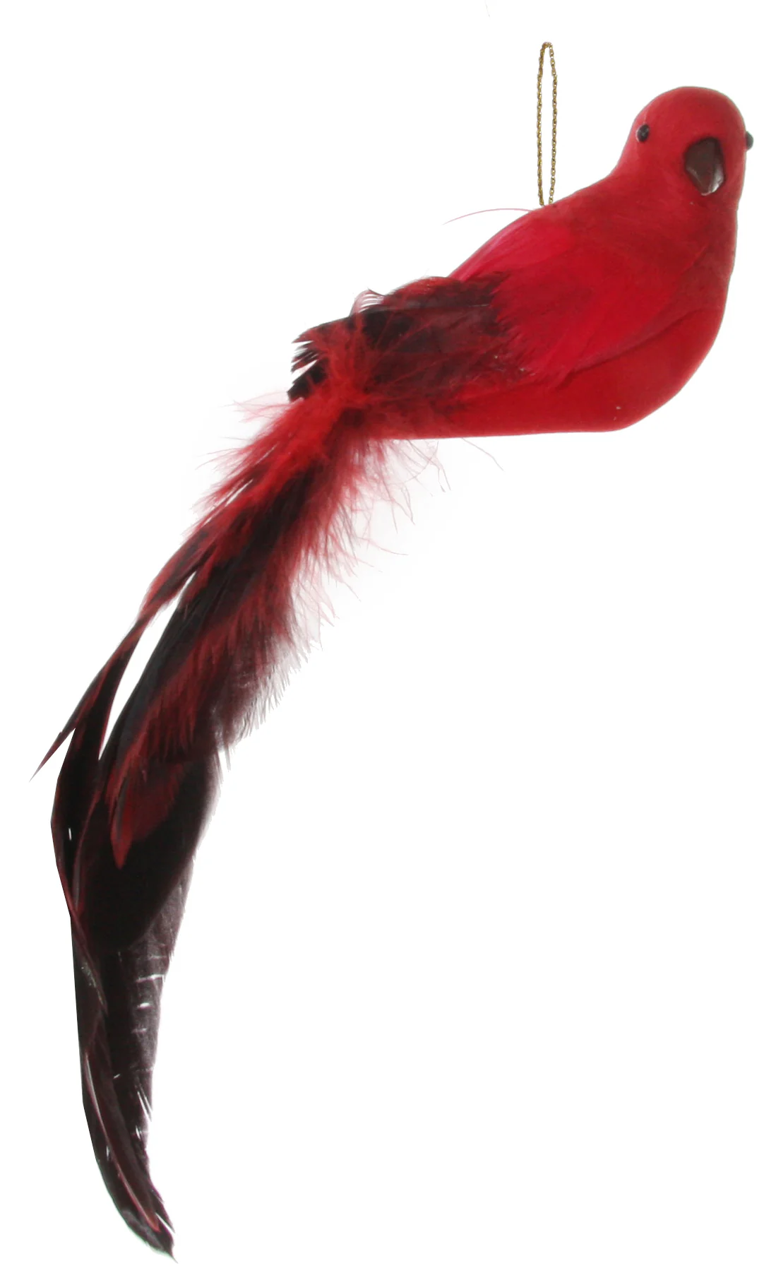 Feather longtail bird red 23cm