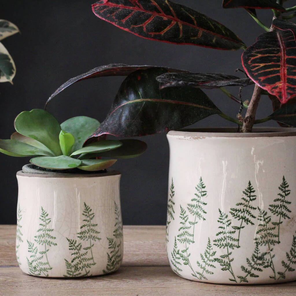Fern Pot S Ø12cm x H12cm - Image 2