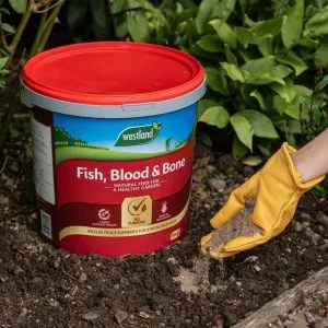 FISH, Blood & Bone 10Kg