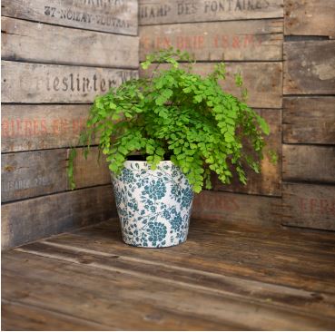 Floral Pot Green S Ø14cm x H13cm