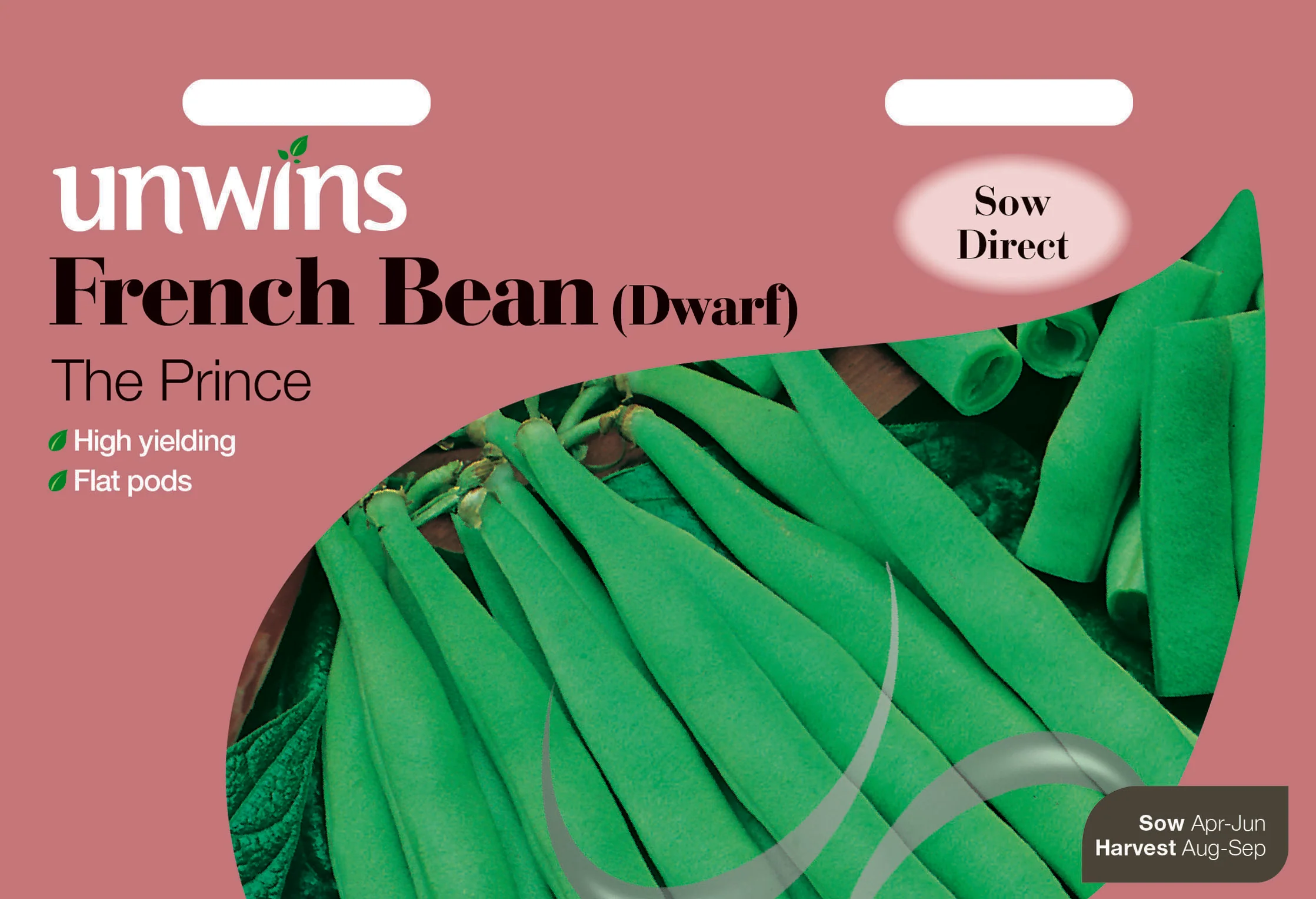 French Bean (Dwarf) The Prince