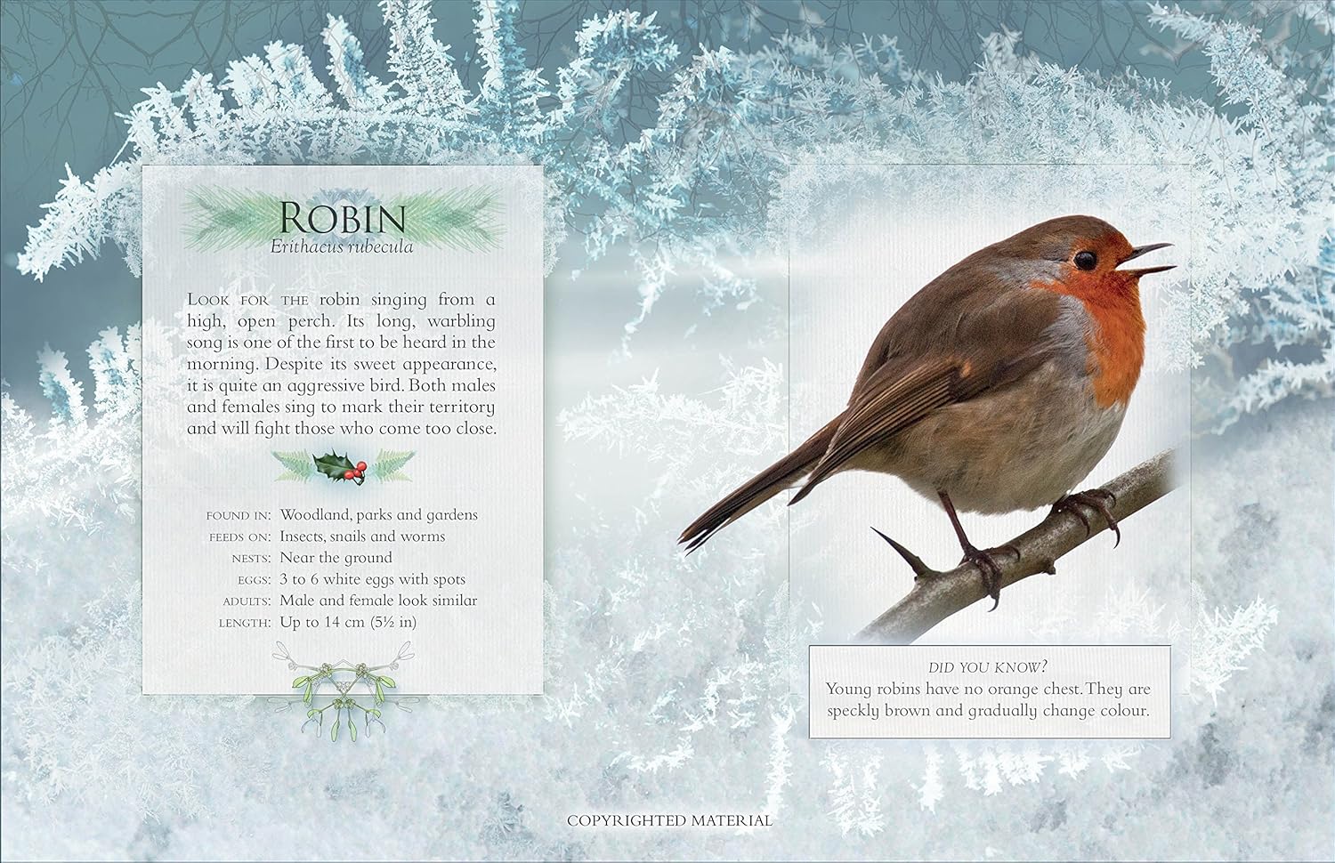 Garden Birds Songs - Image 2