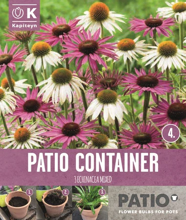 GARDEN CONTAINER PACK ECHINACEA - SORBET SHADES 3
