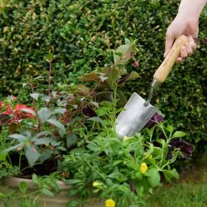 Garden Life Hand Trowel - Image 3