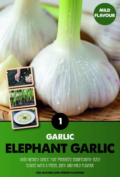 GARLIC ELEPHANT 1 - Image 2