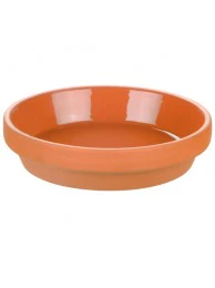 Glazed Saucer 29 x 4cm