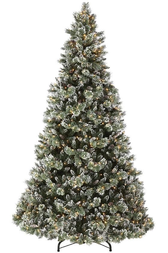 Glittery Bristle Pine 6.5ft Tree Cones 550 S/White LED