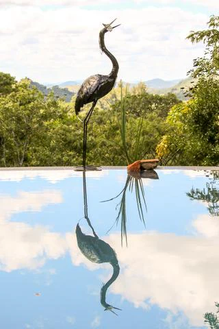 Goliath heron Swallowing Fish H 130 cm