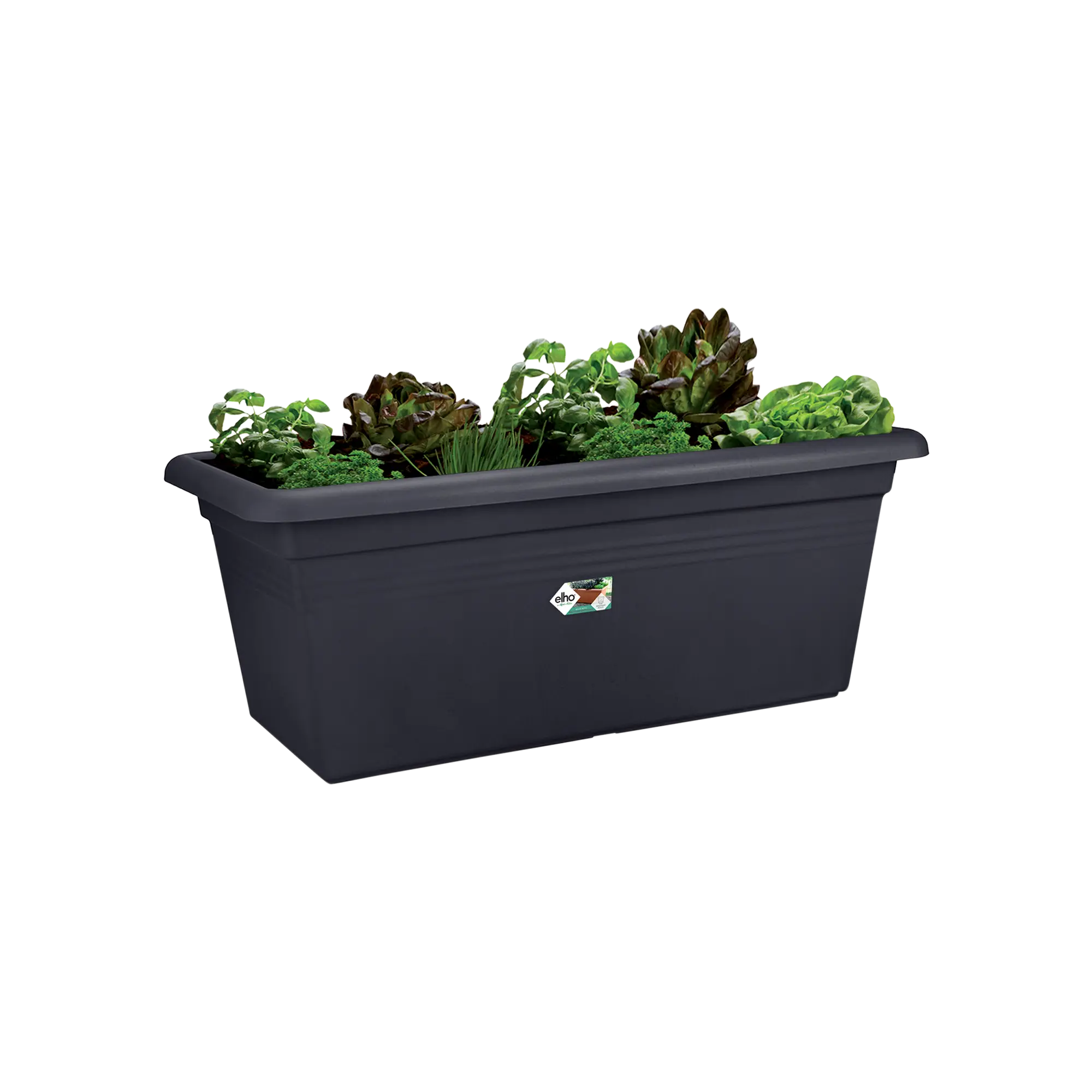 green basics garden xxl 80cm - Image 2