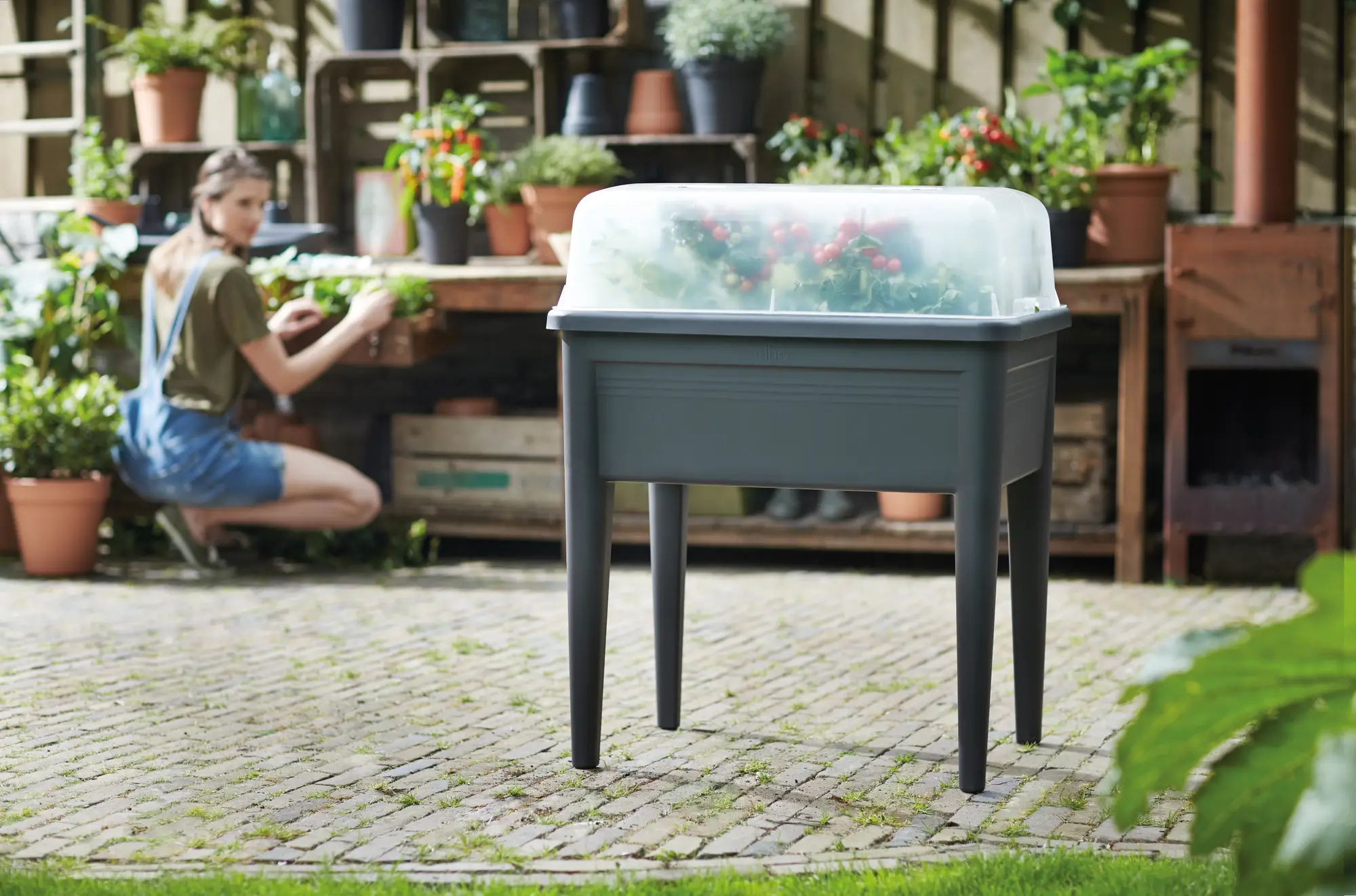 green basics grow house xxl 75cm - Image 3