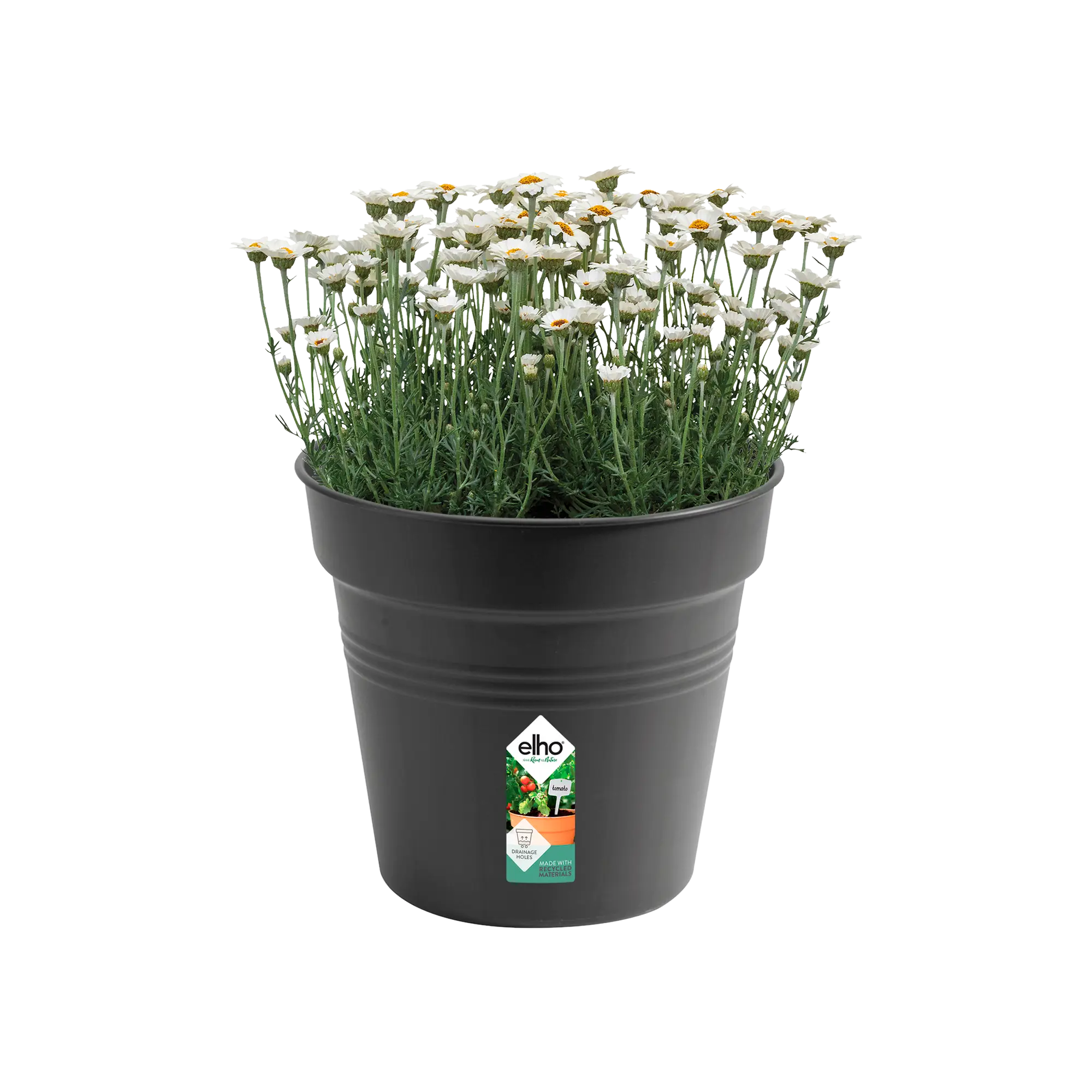 green basics growpot living black Ø35cm - Image 3