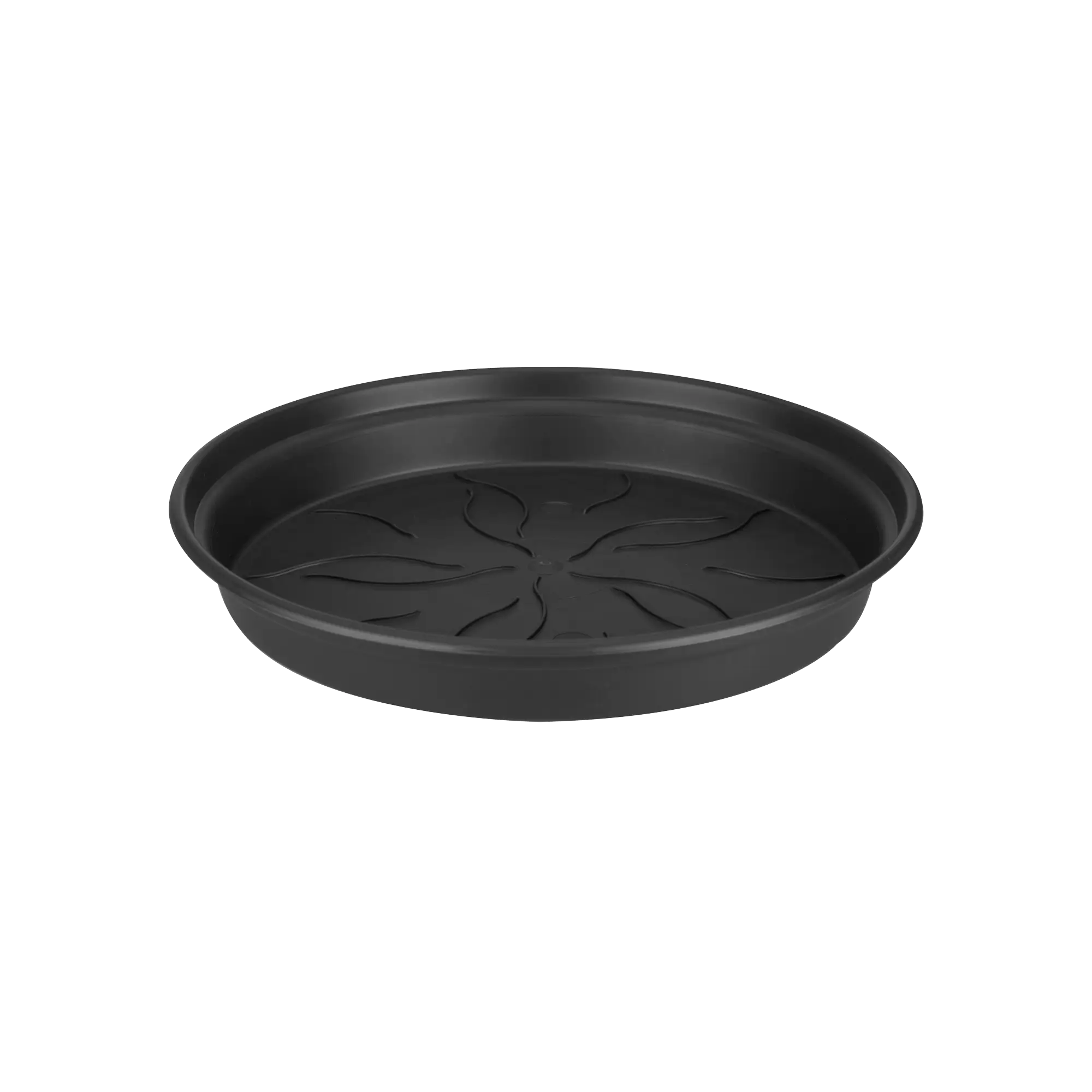 green basics saucer 10cm