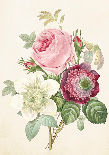 Greeting cards with envelopes - 12x17 cm - Three roses species