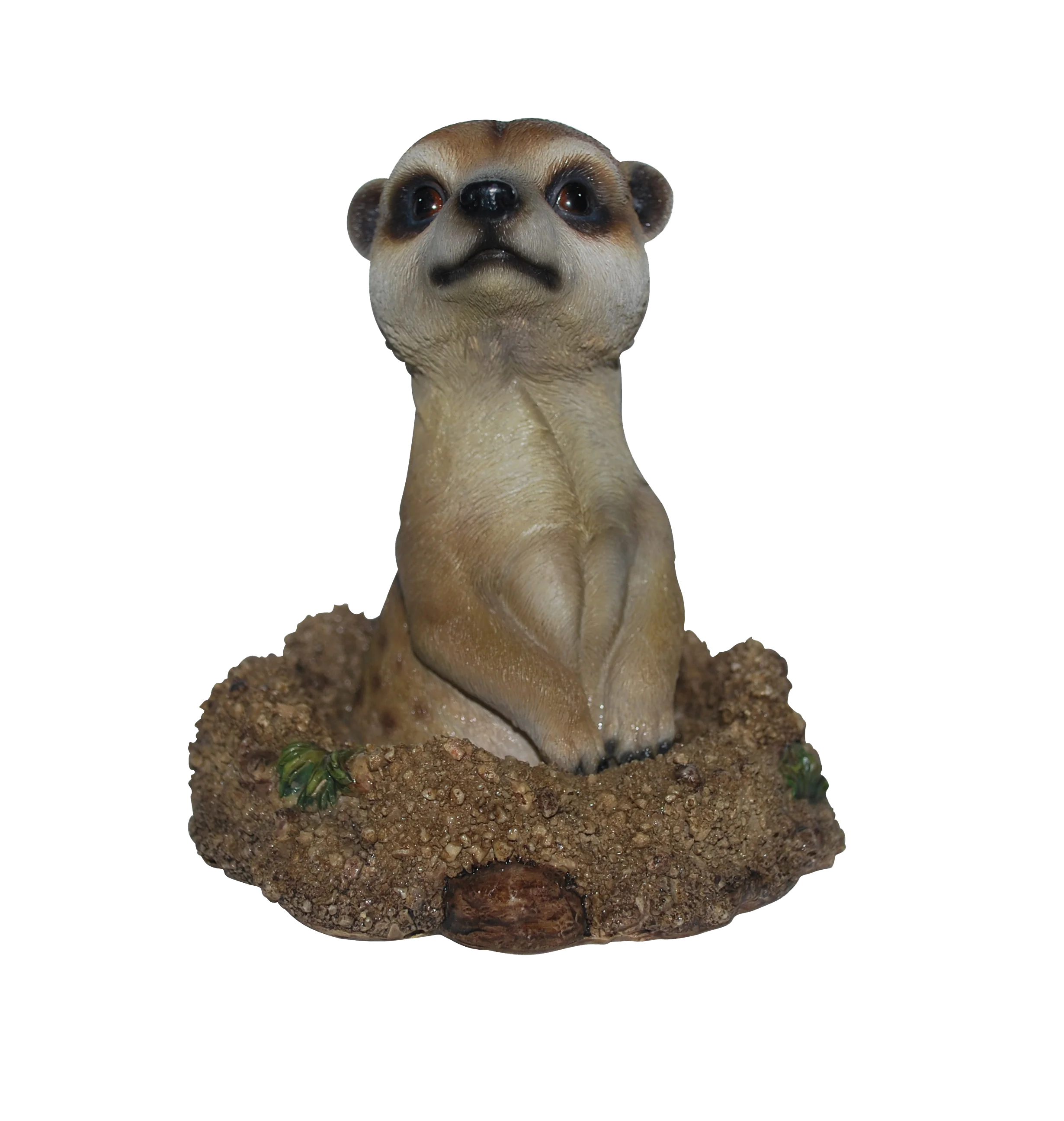 Groundhog Meerkat F