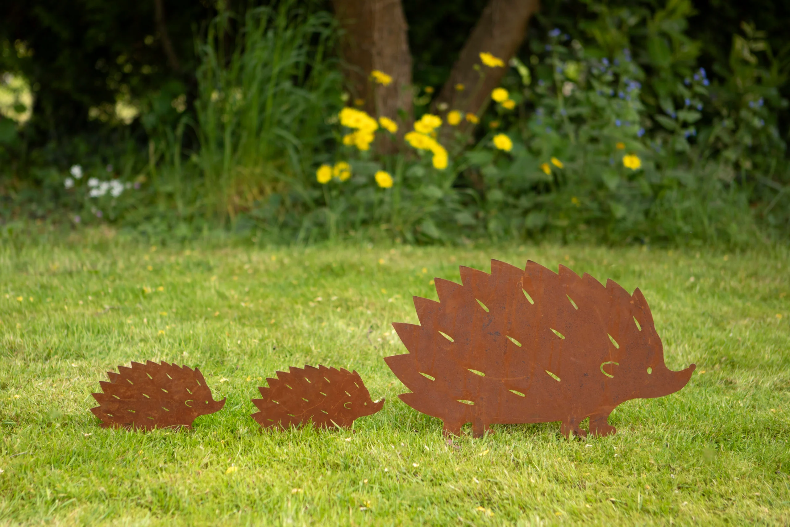 Hedgehog Family - Image 2