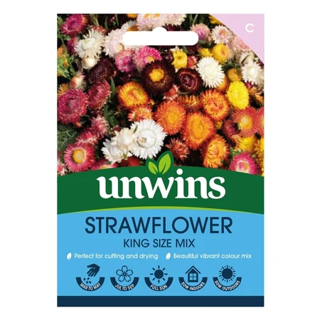 Helichrysum Straw Flower King Size Mix