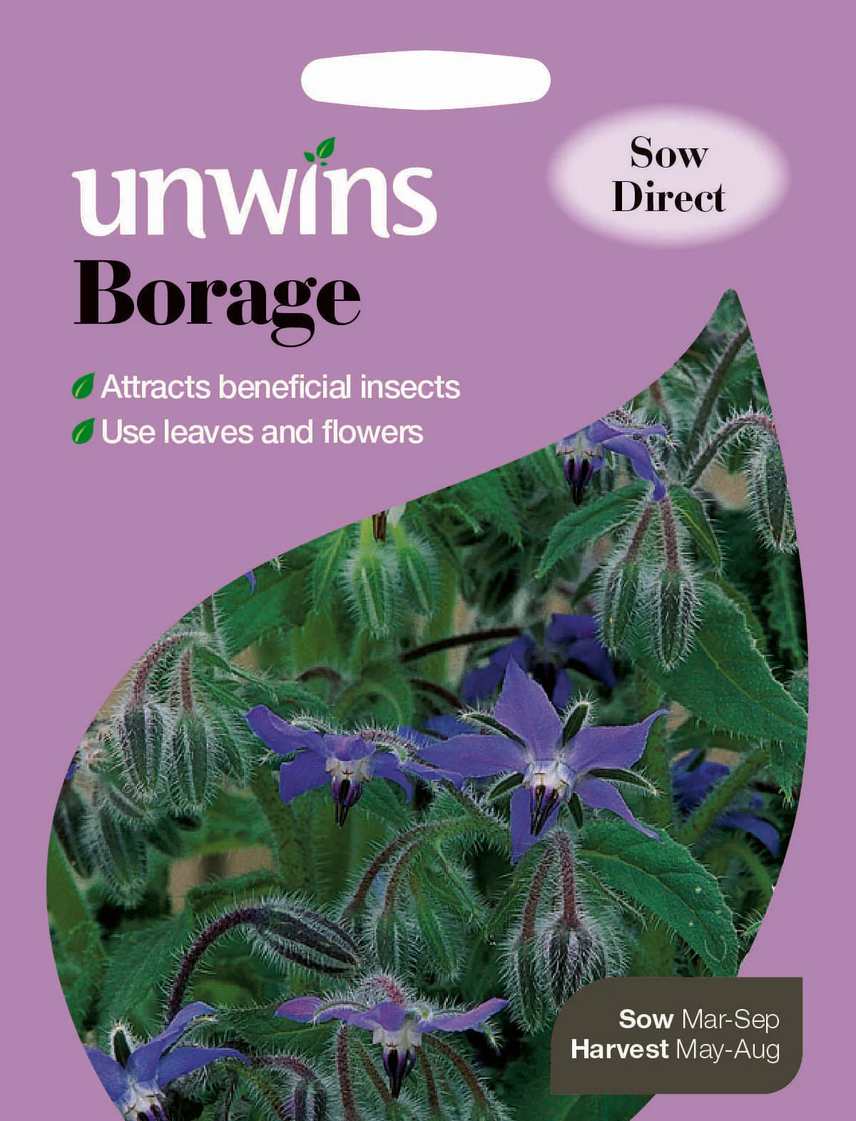 Herb Borage