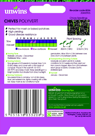 Herb Chives Polyvert - Image 2