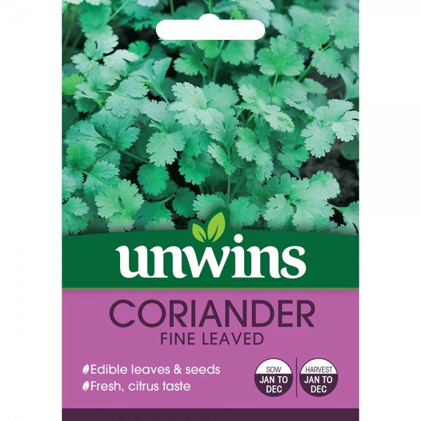 Herb Coriander Fine Leaved