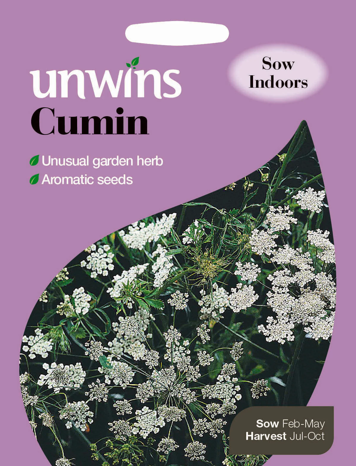 Herb Cumin