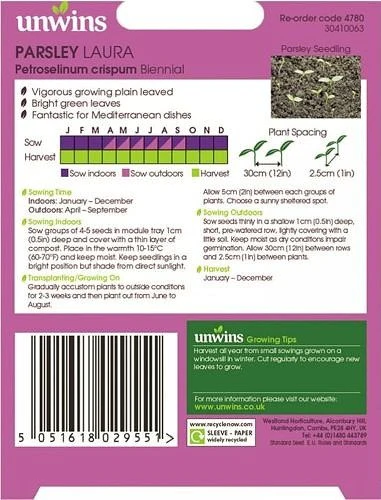 Herb Parsley Laura - Image 2
