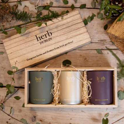 HERB PASTEL TRIO