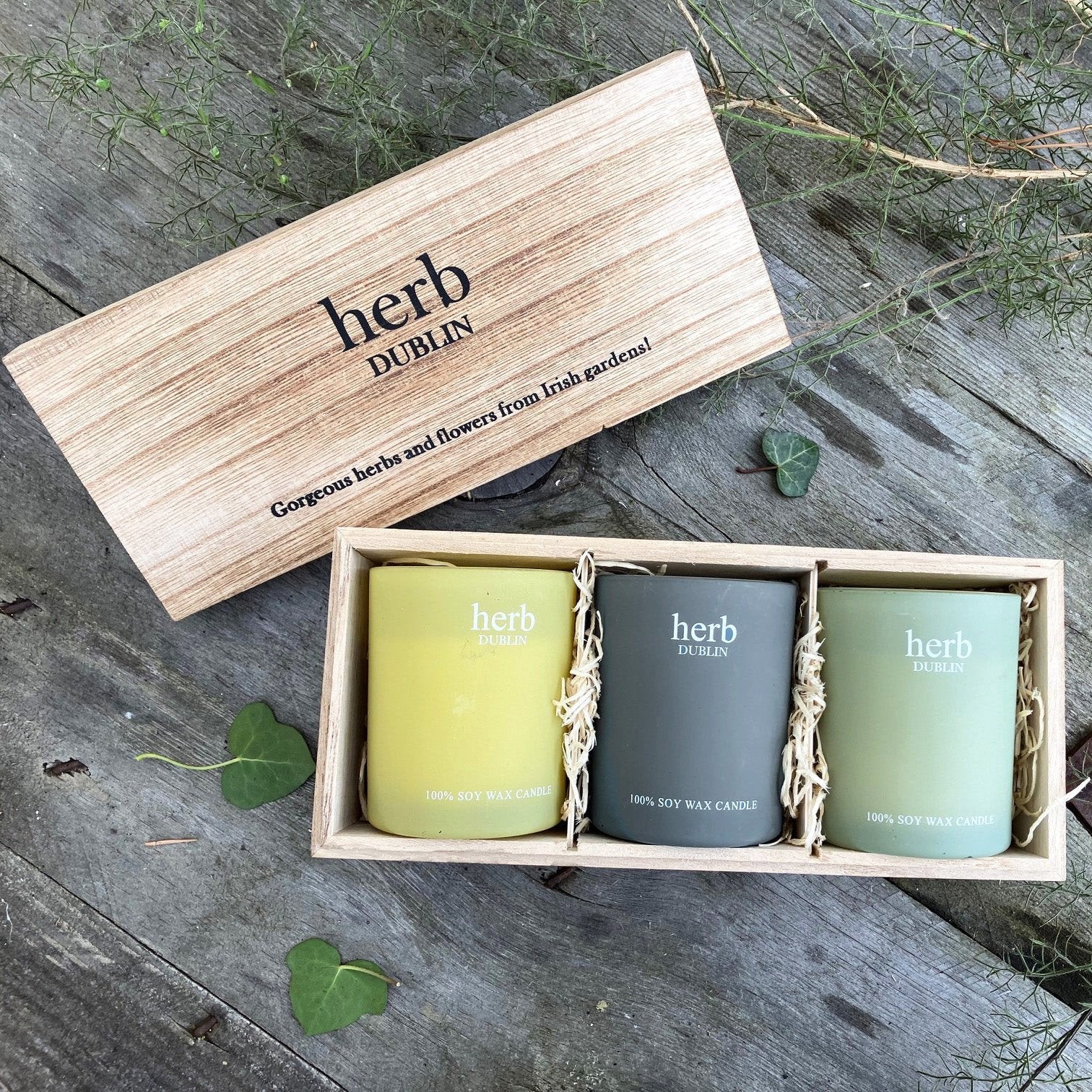 HERB PASTEL TRIO - Image 2