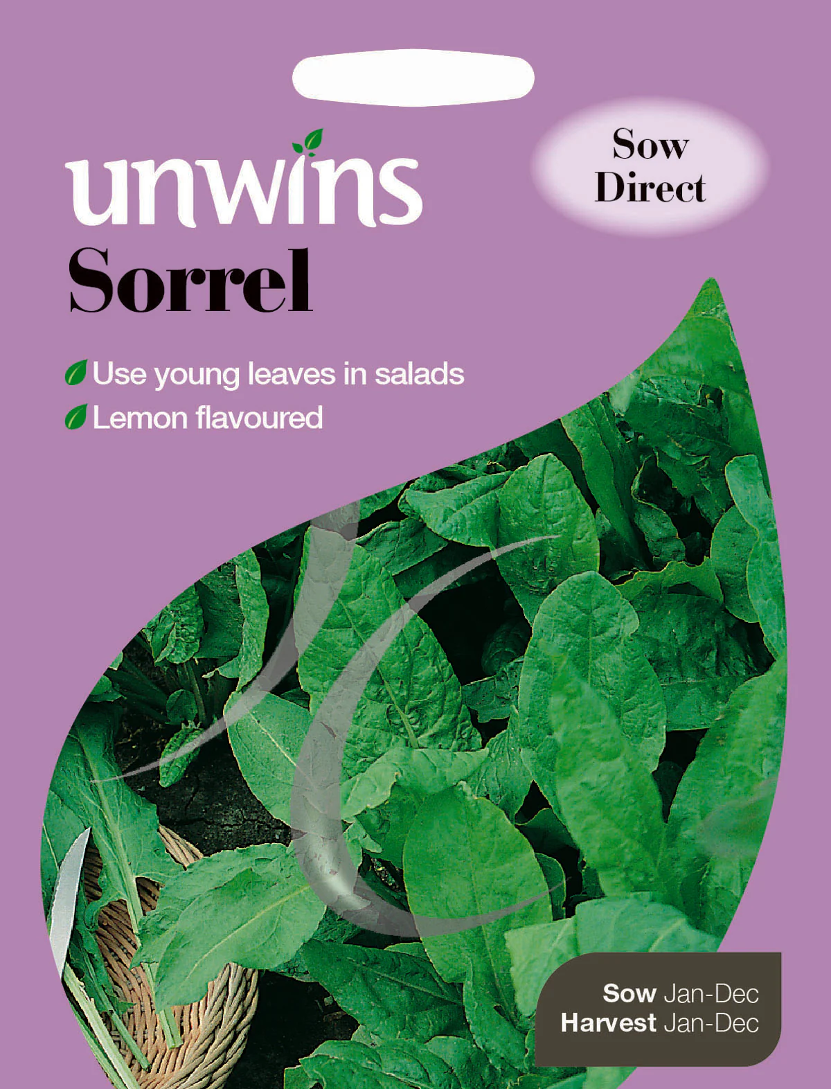 Herb Sorrel