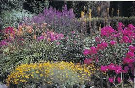 Herbaceous 3L