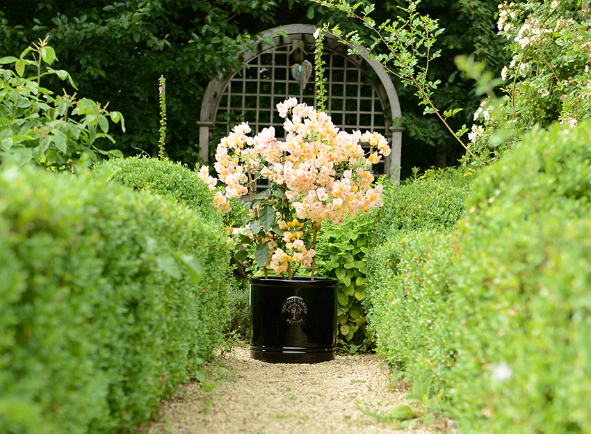 Heritage Cylinder Black Ø30cm - Image 2
