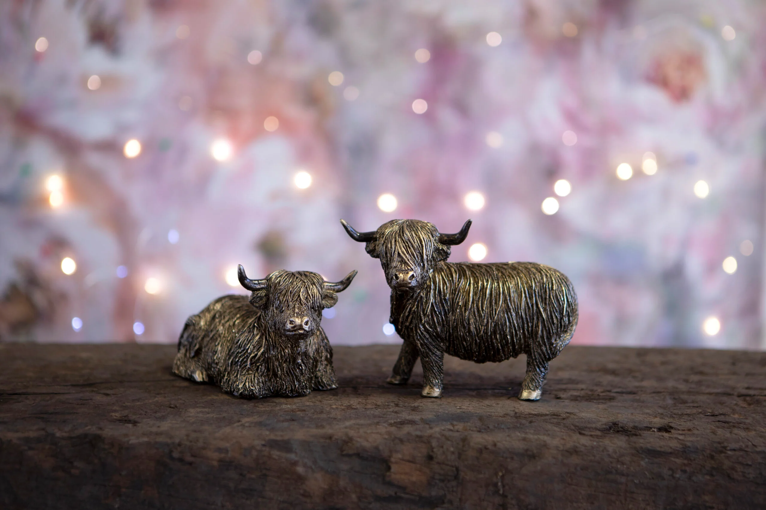 Highland Cow - Image 4